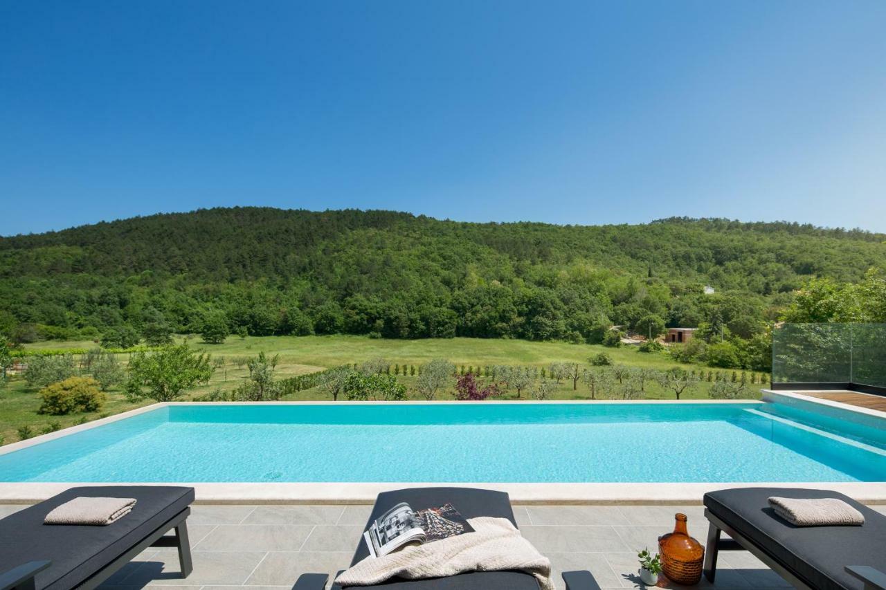 Villa Terra Labin  Dış mekan fotoğraf